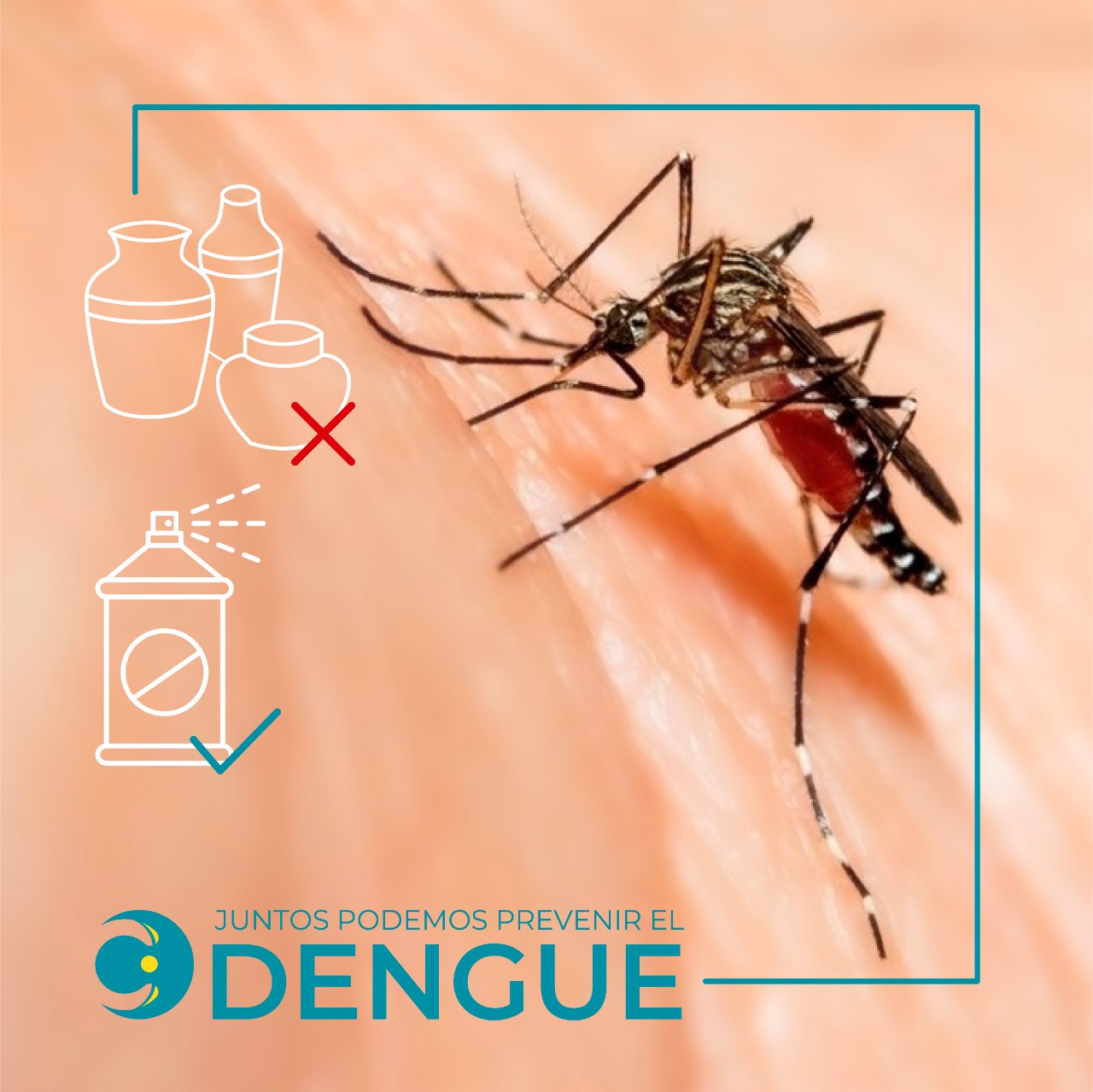 cytec-prevencion-dengue